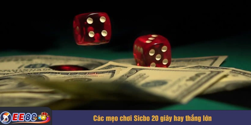 Các mẹo chơi Sicbo 20 giây hay thắng lớn