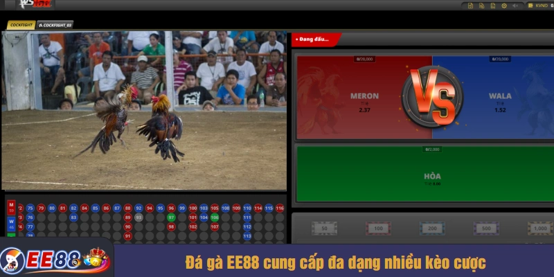 Đá gà EE88 cung cấp đa dạng nhiều kèo cược